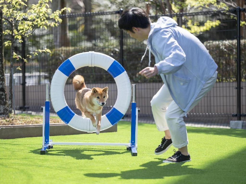 Izumigo Lake Hamanako Dog Paradise Hotel Hamamatsu Exteriör bild
