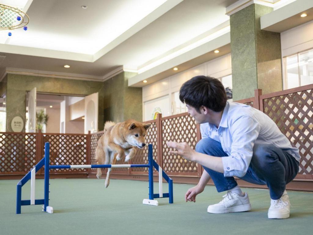 Izumigo Lake Hamanako Dog Paradise Hotel Hamamatsu Exteriör bild