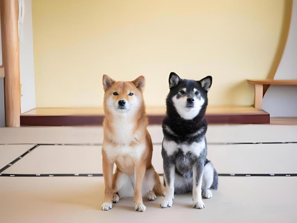 Izumigo Lake Hamanako Dog Paradise Hotel Hamamatsu Exteriör bild
