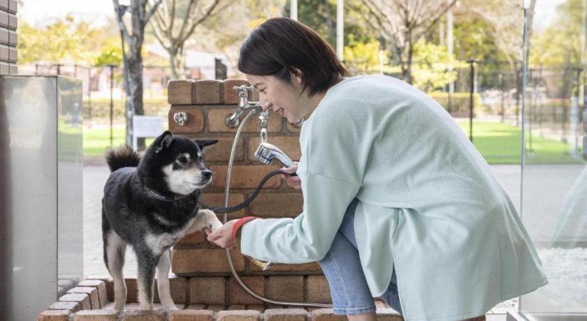 Izumigo Lake Hamanako Dog Paradise Hotel Hamamatsu Exteriör bild