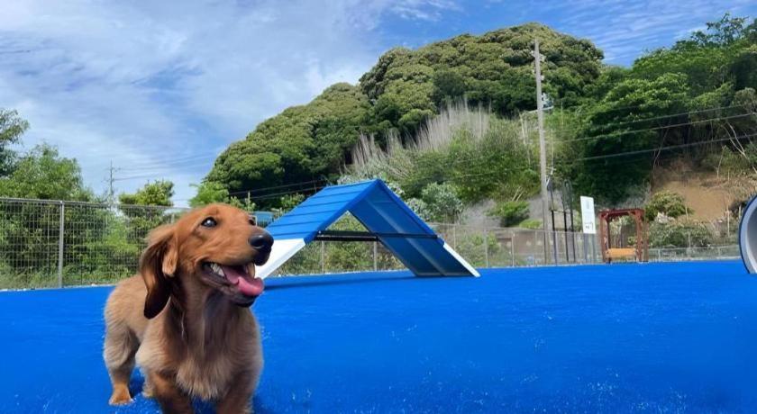 Izumigo Lake Hamanako Dog Paradise Hotel Hamamatsu Exteriör bild